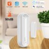 Tuya Wifi Door Sensor Alexa Google Home