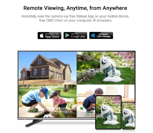 Screeeenshot 2024-07-19 121928 CCTV Mini WiFi NVR 8CH