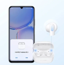 Screenshot 2024-07-02 144405 Huawei FreeBuds SE 2