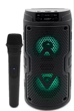 Screenshot 2025-04-11 133724 GTS-1926 Wireless Bluetooth Karoake Speaker with Mic