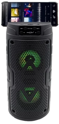 Screenshot 2025-04-11 133811 GTS-1926 Wireless Bluetooth Karoake Speaker with Mic