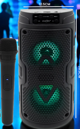 Screenshot 2025-04-11 133847 GTS-1926 Wireless Bluetooth Karoake Speaker with Mic
